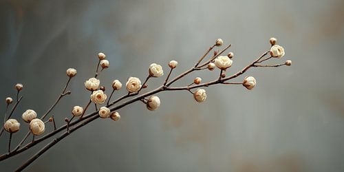 Verstilde Bloesemtak