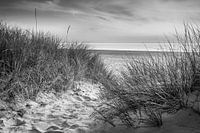 Strand aan de Oostzee bij zonsopgang in zwart-wit.