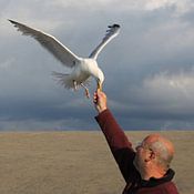 Jos van Zijl Profilfoto