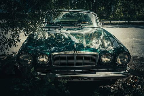 La Jaguar British Racing green sous les arbres