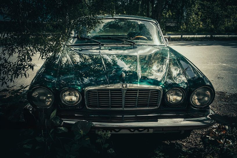 The British Racing green Jaguar under the trees by Jonas Röjestål