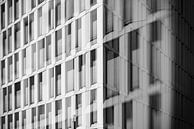Fenster im Sonnenlicht (digitale Doppelbelichtung) von Götz Gringmuth-Dallmer Photography Miniaturansicht