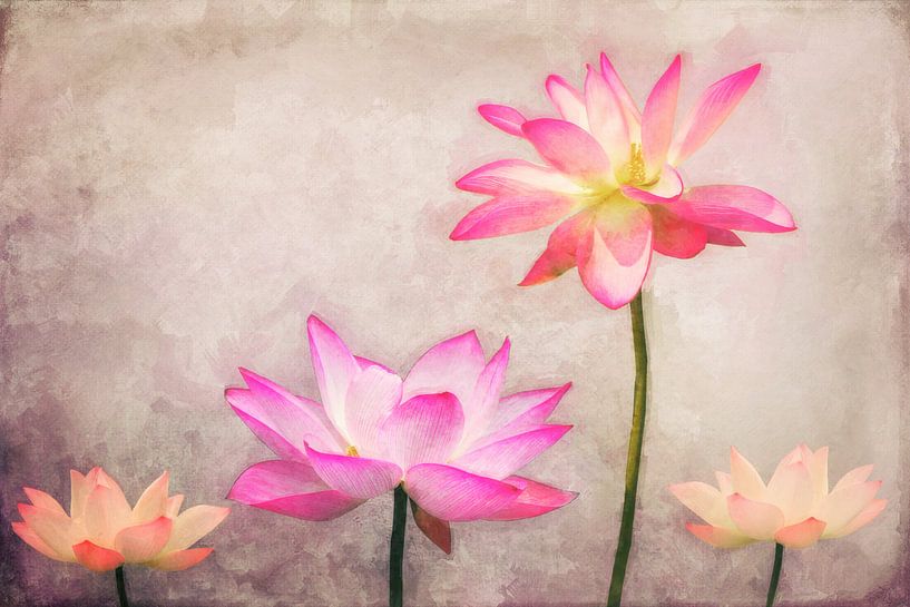 Lotus von AD DESIGN Photo & PhotoArt