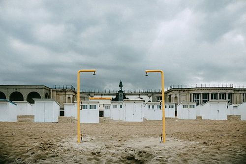 Leopold II by Steven Goovaerts