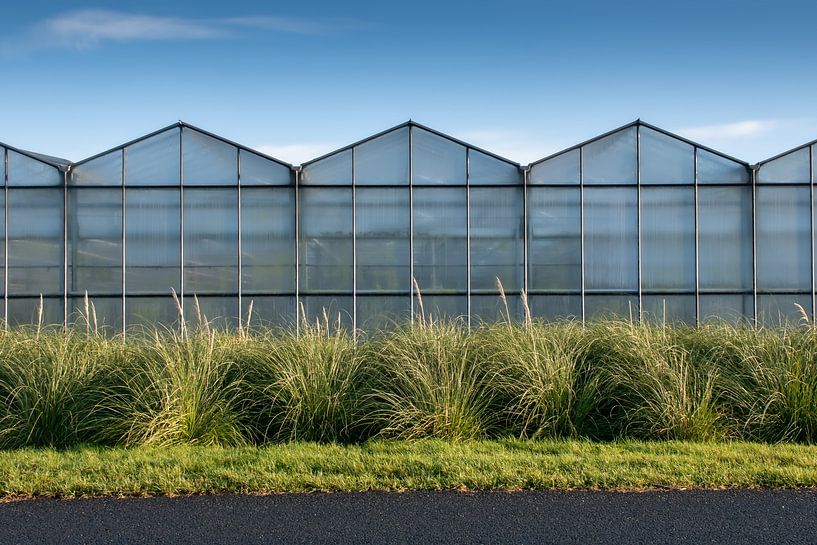 Greenhouses with blue skies and green grass by Arjan van der Veer