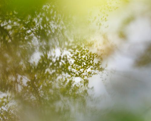 Reflektionen im Wasser