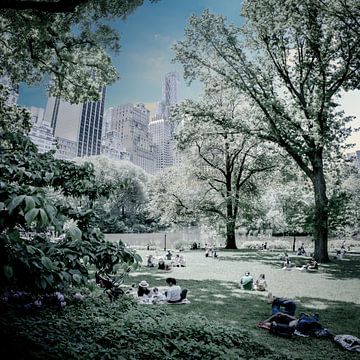 Central Park, New york van Dick Schoenmakers