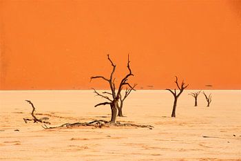 Kahle Bäume im Deadvlei in Namibia - Sossusvlei