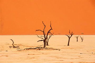 Dorre bomen in Deadvlei in Namibië - Sossusvlei van Sabine DG