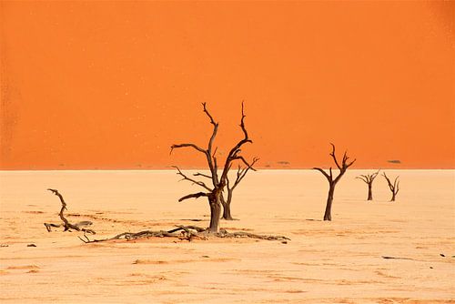 Barren trees in Deadvlei in Namibia - Sossusvlei