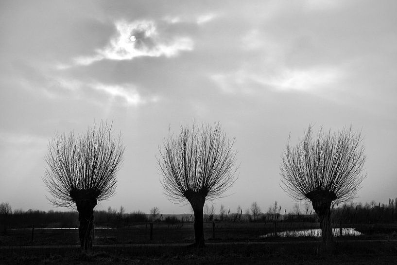 drie op een rij van jan van de ven