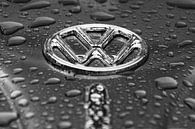 Volkswagen kever van B-Pure Photography thumbnail