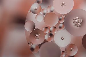 Circles in a circle, in soft shades of brown and champagne color