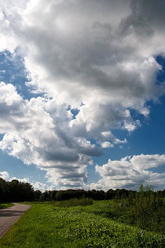 Wolkendeken over landschap