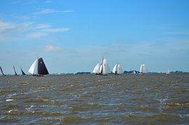 Skûtsjes on the lake by Gerrit Harmen