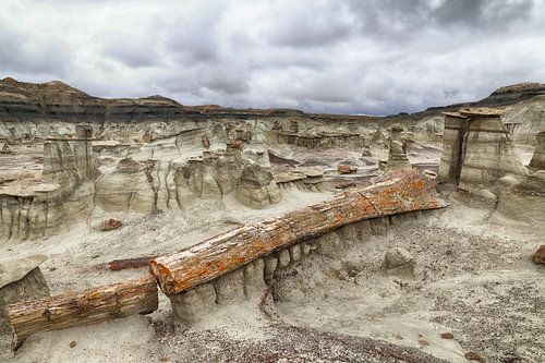Bisti Badlands versteend hout in de winter New Mexico, VS