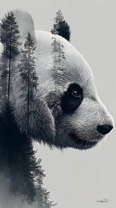 Pandabär / Pandabär