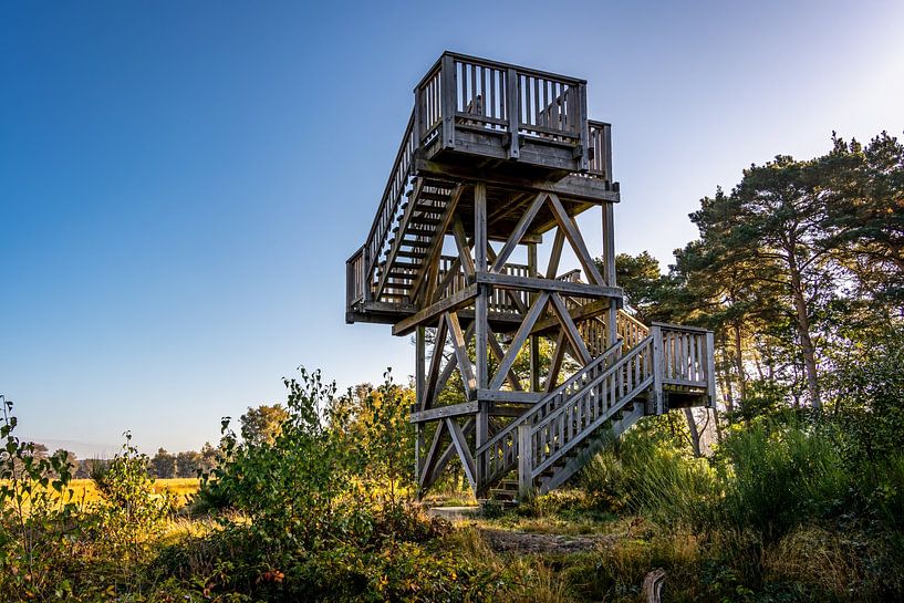 National Park De Meinweg in Limburg - Netherlands by Maurice Meerten