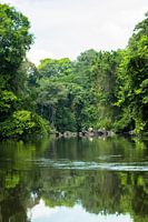 Creek with soela in Suriname