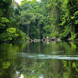 Ruisseau avec soula au Suriname sur rene marcel originals
