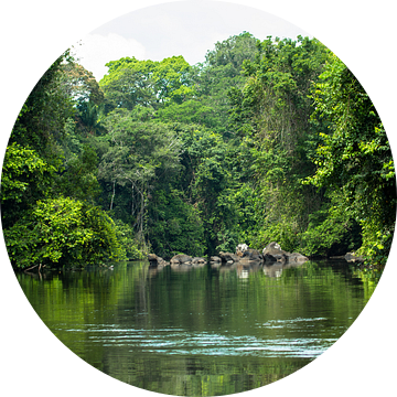 Kreek met soela in Suriname