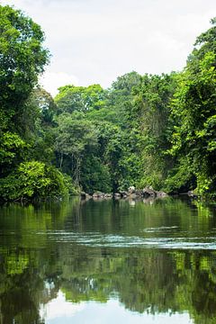 Ruisseau avec soula au Suriname sur rene marcel originals