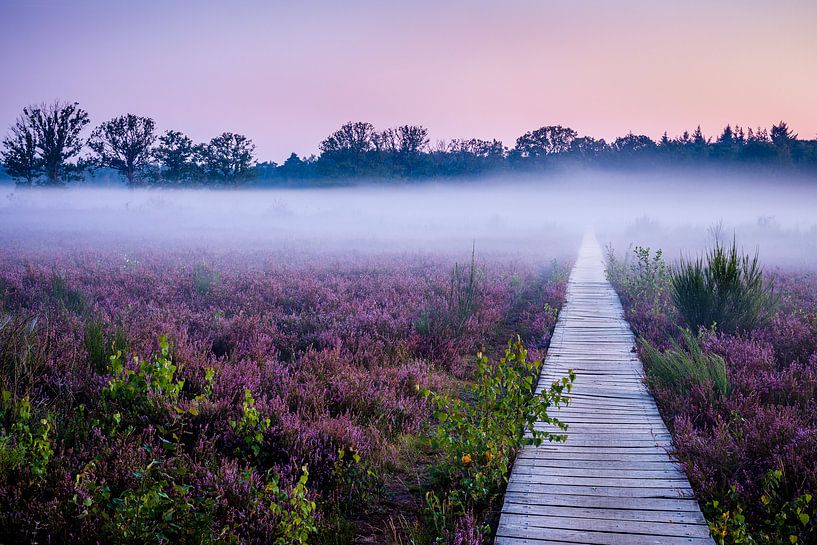 Brouillard matinal Galderse Heide Breda par JPWFoto