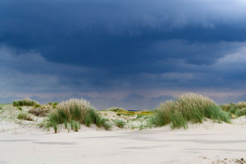 duinen bij storm van Eva Overbeeke