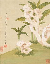 Flowers P. F., Liang Yuwei