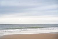 Eenzame zeemeeuw | Minimalistische fotografie