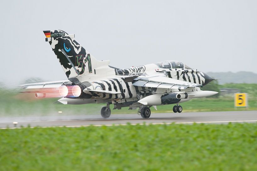 Witte tijger van Robben
