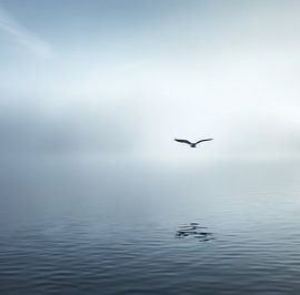 Aesthetic minimalism
