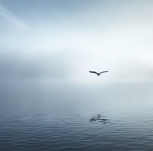 Ästhetischer Minimalismus