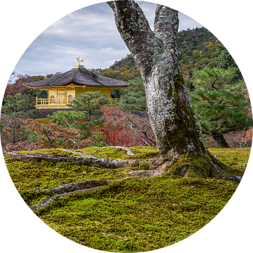 Kinkaku-ji, Gouden tempel Kioto van Roel Beurskens