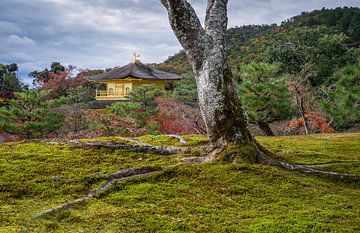 Kinkaku-ji, Temple d'or de Kyoto sur Roel Beurskens