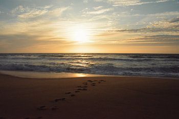 Footsteps