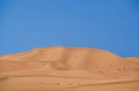 Zandduin in Al Ain van Pieter van Roijen thumbnail