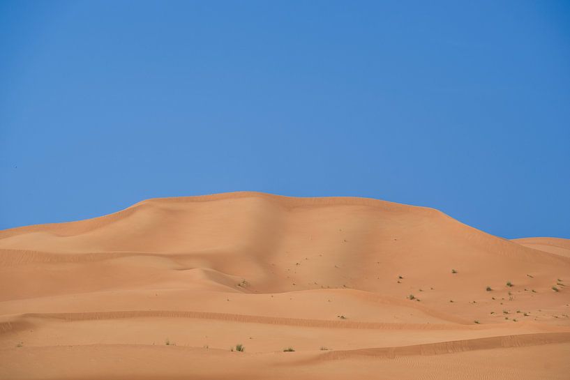 Zandduin in Al Ain van Pieter van Roijen