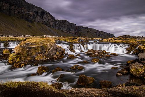 Foss midway Li La Lo