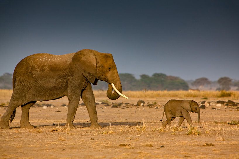Mama mit Baby von Peter Michel