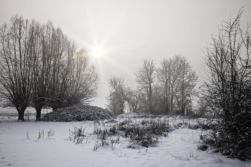L'hiver dans la vallée du Geul @ Stokhem par Rob Boon