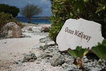 ocean walkway by Barry van Strien