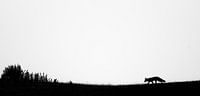 On Top (I)