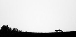 On Top (I) von Daniel Elfert