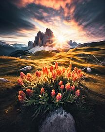 A morning in the Dolomites