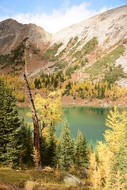 Yellow, Green and Blue-Green by Femke van Egmond