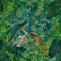 Peacock Jungle
