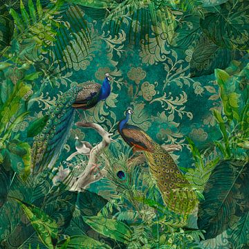 Peacock Jungle van Andrea Haase
