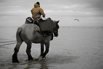 Shrimp fisherman on horseback