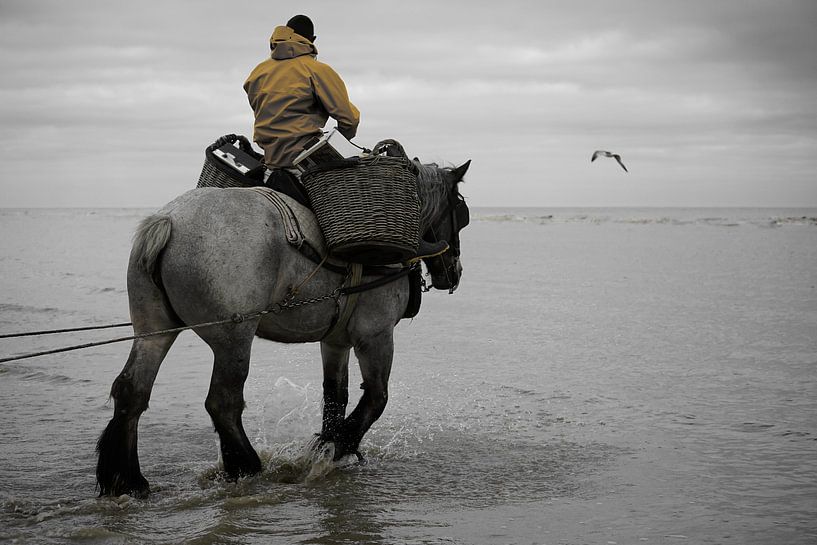 Shrimp fisherman on horseback by Rik Verslype